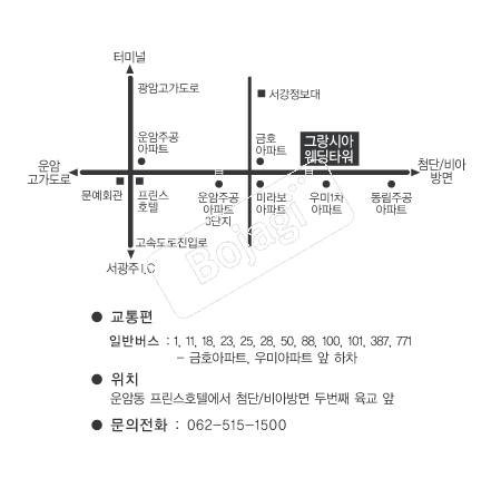  �൵ ���ڱ� ī�� ûø�� 