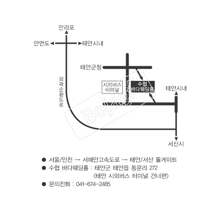  �൵ ���ڱ� ī�� ûø�� 
