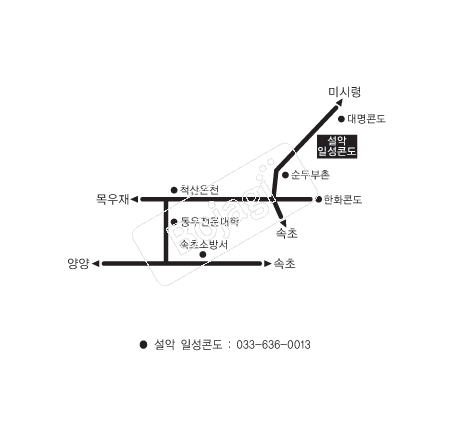 �൵ ���ڱ� ī�� ûø�� 