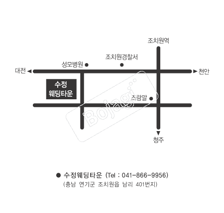  �൵ ���ڱ� ī�� ûø�� 