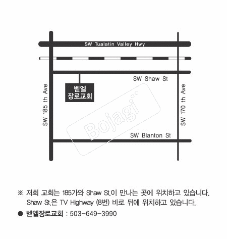  �൵ ���ڱ� ī�� ûø�� 