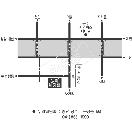  �൵ ���ڱ� ī�� ûø�� 