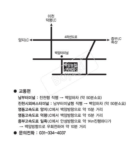  �൵ ���ڱ� ī�� ûø�� 