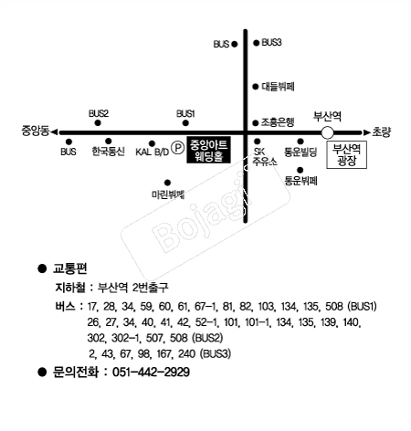  �൵ ���ڱ� ī�� ûø�� 