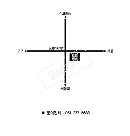  �൵ ���ڱ� ī�� ûø�� 