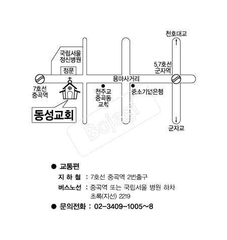  �൵ ���ڱ� ī�� ûø�� 