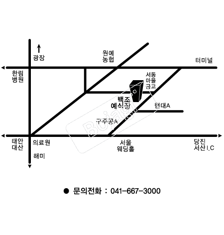  �൵ ���ڱ� ī�� ûø�� 