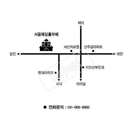  �൵ ���ڱ� ī�� ûø�� 