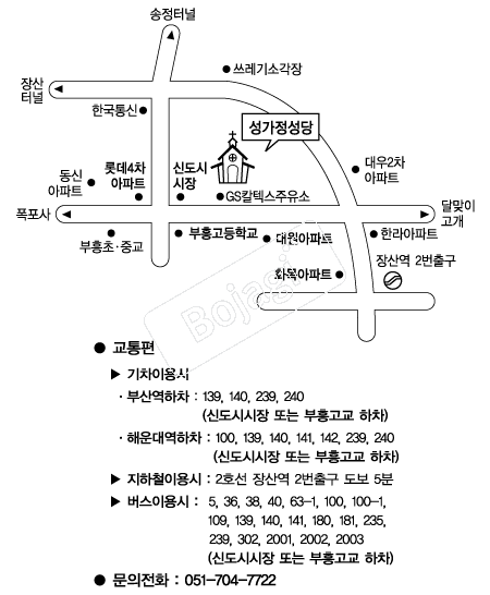  �൵ ���ڱ� ī�� ûø�� 