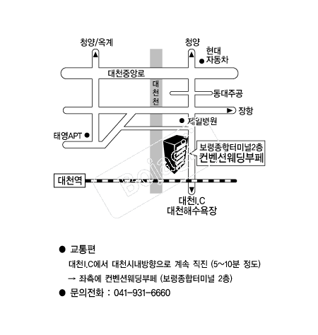  �൵ ���ڱ� ī�� ûø�� 