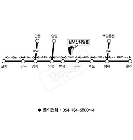  �൵ ���ڱ� ī�� ûø�� 