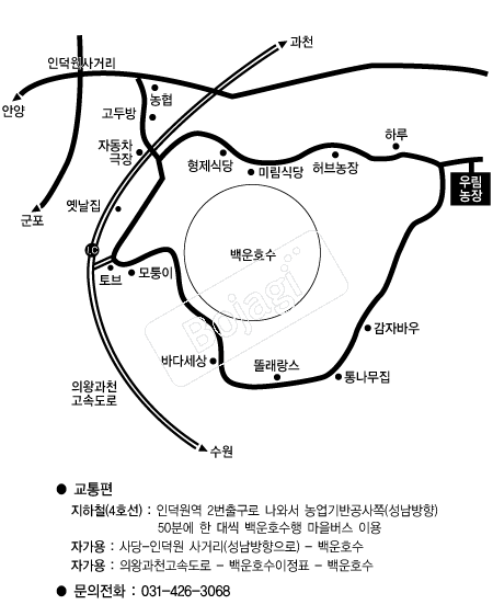  �൵ ���ڱ� ī�� ûø�� 