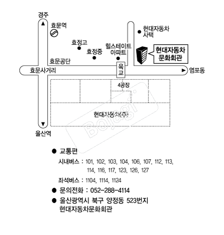 �����ڵ�����ȭȸ�� �൵ ���ڱ� ī�� ûø�� 