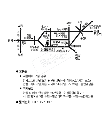 �ȼ���������Ȧ �൵ ���ڱ� ī�� ûø�� 