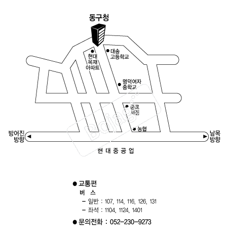  �൵ ���ڱ� ī�� ûø�� 