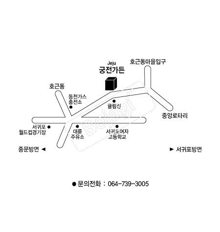  �൵ ���ڱ� ī�� ûø�� 