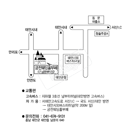  �൵ ���ڱ� ī�� ûø�� 