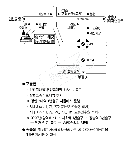 �����ǿ��� �൵ ���ڱ� ī�� ûø�� 