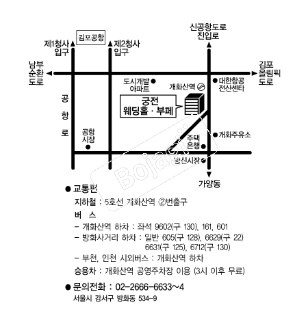 ��������Ȧ(��ȭ) �൵ ���ڱ� ī�� ûø�� 