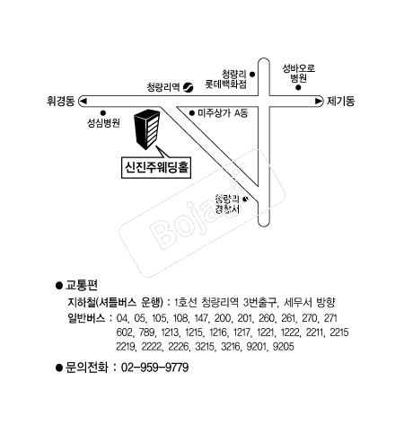 �����ֿ���Ȧ �൵ ���ڱ� ī�� ûø�� 