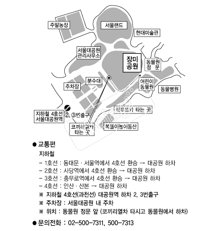  �൵ ���ڱ� ī�� ûø�� 