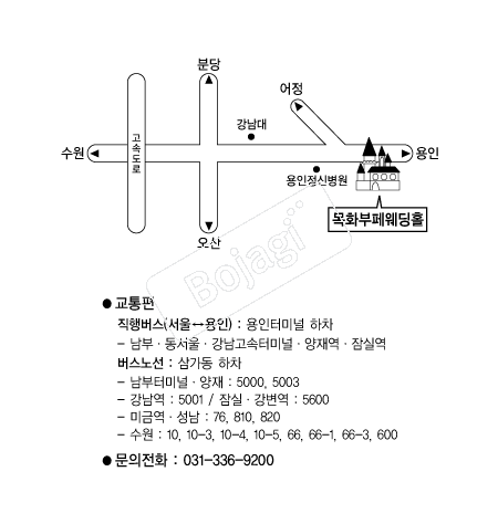  �൵ ���ڱ� ī�� ûø�� 