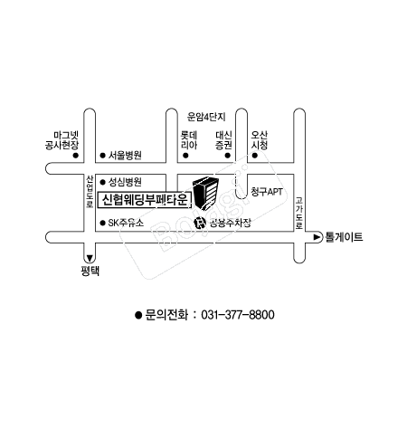 ��������Ȧ �൵ ���ڱ� ī�� ûø�� 