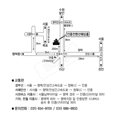 ���������ǿ���Ȧ �൵ ���ڱ� ī�� ûø�� 