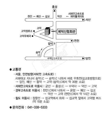  �൵ ���ڱ� ī�� ûø�� 