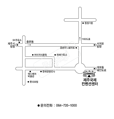  �൵ ���ڱ� ī�� ûø�� 