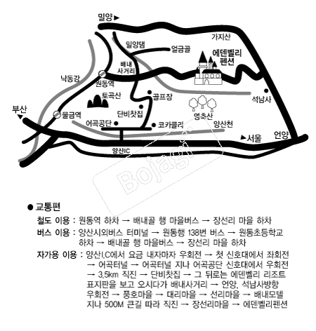  �൵ ���ڱ� ī�� ûø�� 