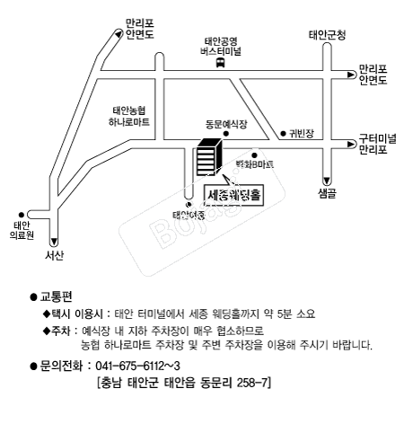  �൵ ���ڱ� ī�� ûø�� 