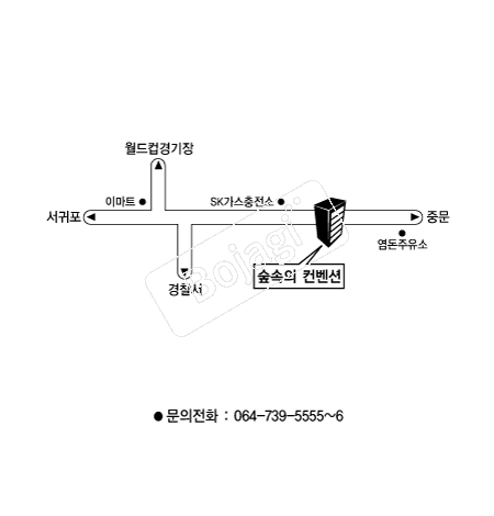  �൵ ���ڱ� ī�� ûø�� 