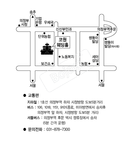  �൵ ���ڱ� ī�� ûø�� 