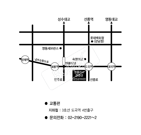  �൵ ���ڱ� ī�� ûø�� 