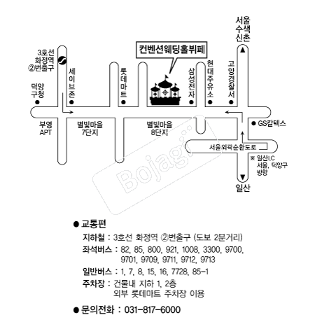 �����ǿ���Ȧ���� �൵ ���ڱ� ī�� ûø�� 