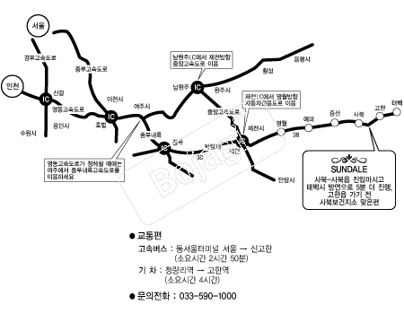 ������ �൵ ���ڱ� ī�� ûø�� 