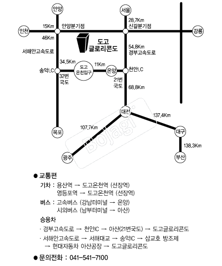  �൵ ���ڱ� ī�� ûø�� 