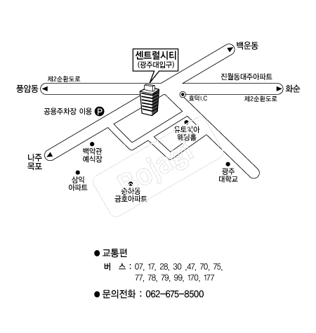 ��Ʈ����Ƽ����Ȧ(����) �൵ ���ڱ� ī�� ûø�� 