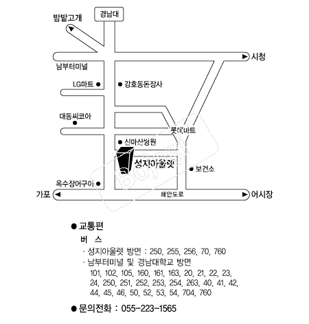  �൵ ���ڱ� ī�� ûø�� 