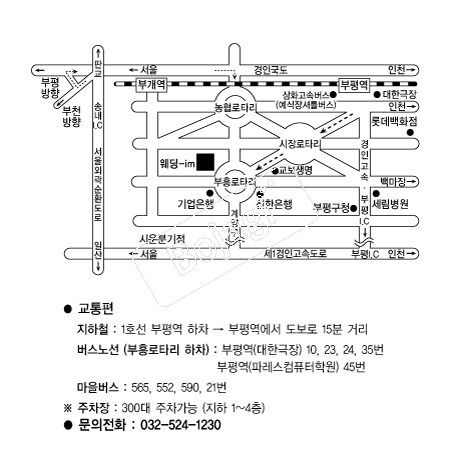  �൵ ���ڱ� ī�� ûø�� 