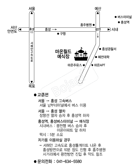  �൵ ���ڱ� ī�� ûø�� 