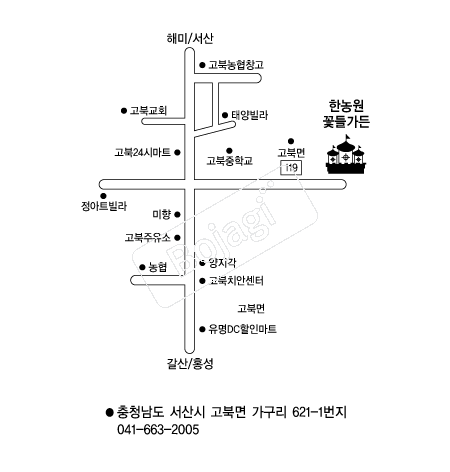  �൵ ���ڱ� ī�� ûø�� 