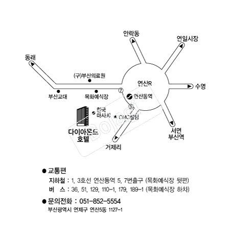 ���̾Ƹ��ȣ�� �൵ ���ڱ� ī�� ûø�� 
