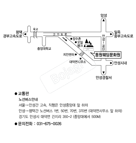 �ȼ���������Ȧ �൵ ���ڱ� ī�� ûø�� 