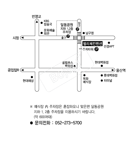  �൵ ���ڱ� ī�� ûø�� 