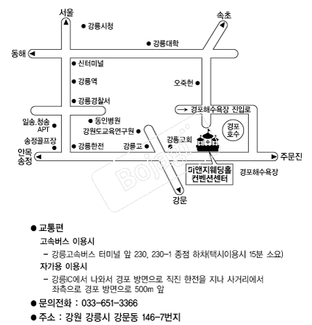 �̾�������Ȧ �൵ ���ڱ� ī�� ûø�� 