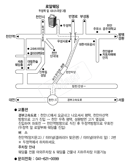 �ξ�������Ȧ �൵ ���ڱ� ī�� ûø�� 
