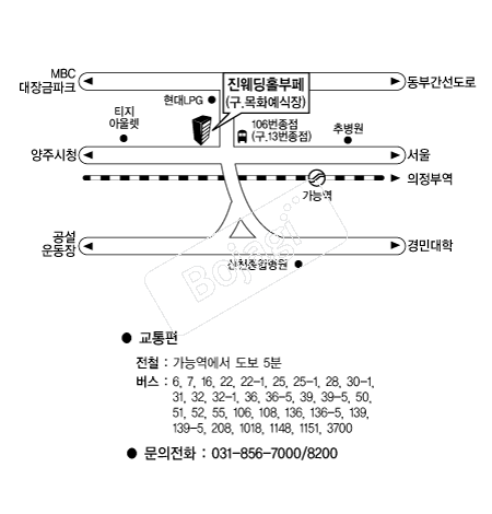 ������Ȧ���� �൵ ���ڱ� ī�� ûø�� 