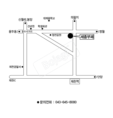  �൵ ���ڱ� ī�� ûø�� 